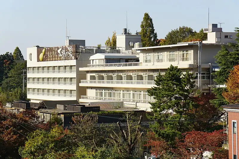 Taikō no Yu
