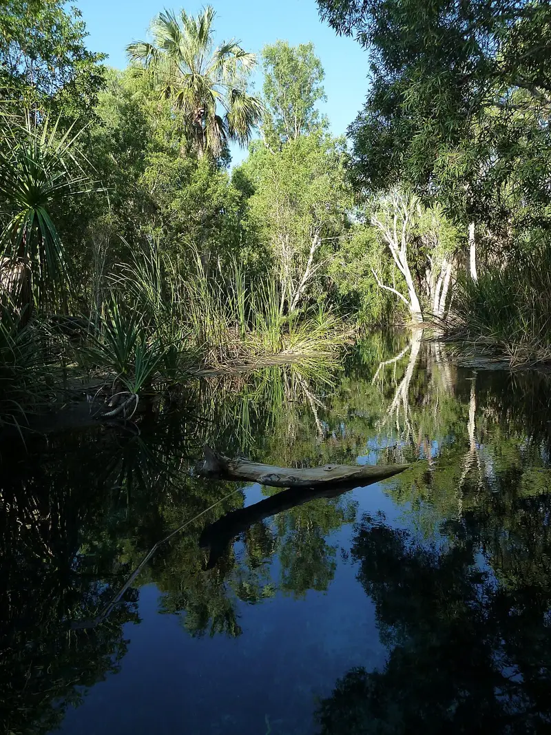 Bitter Springs Thermal Pools