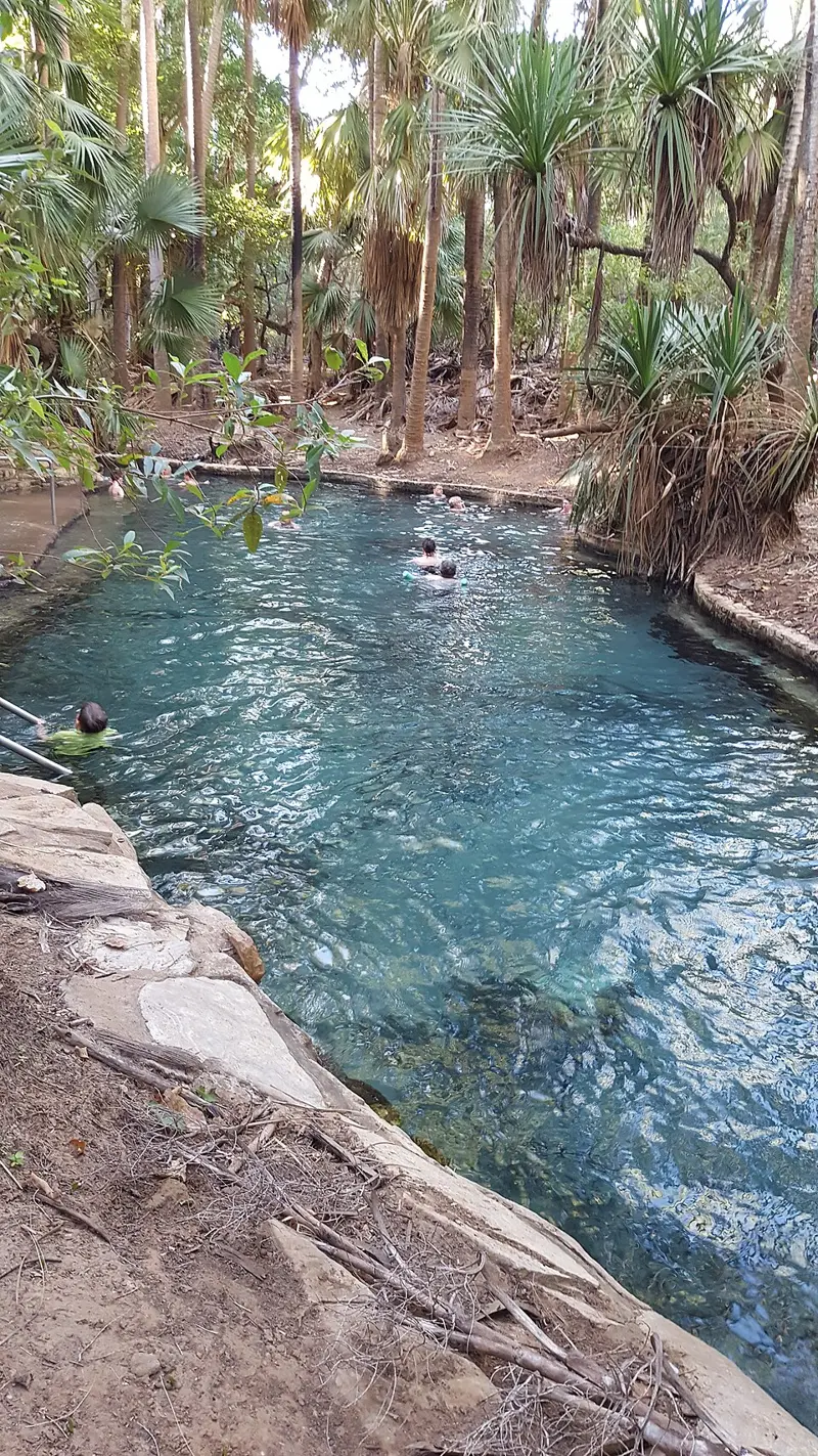 Mataranka Thermal Pool