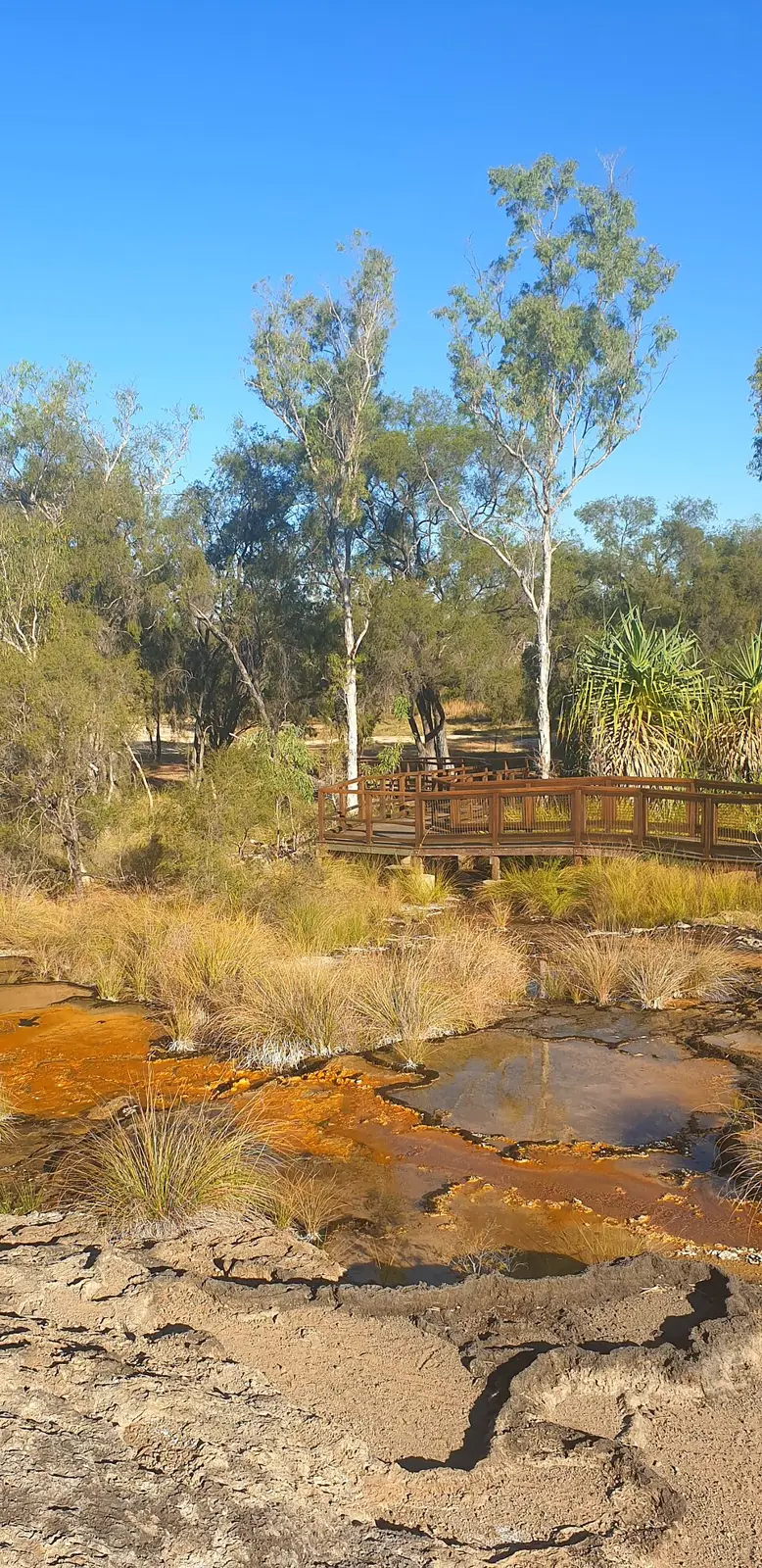 Talaroo Hot Springs