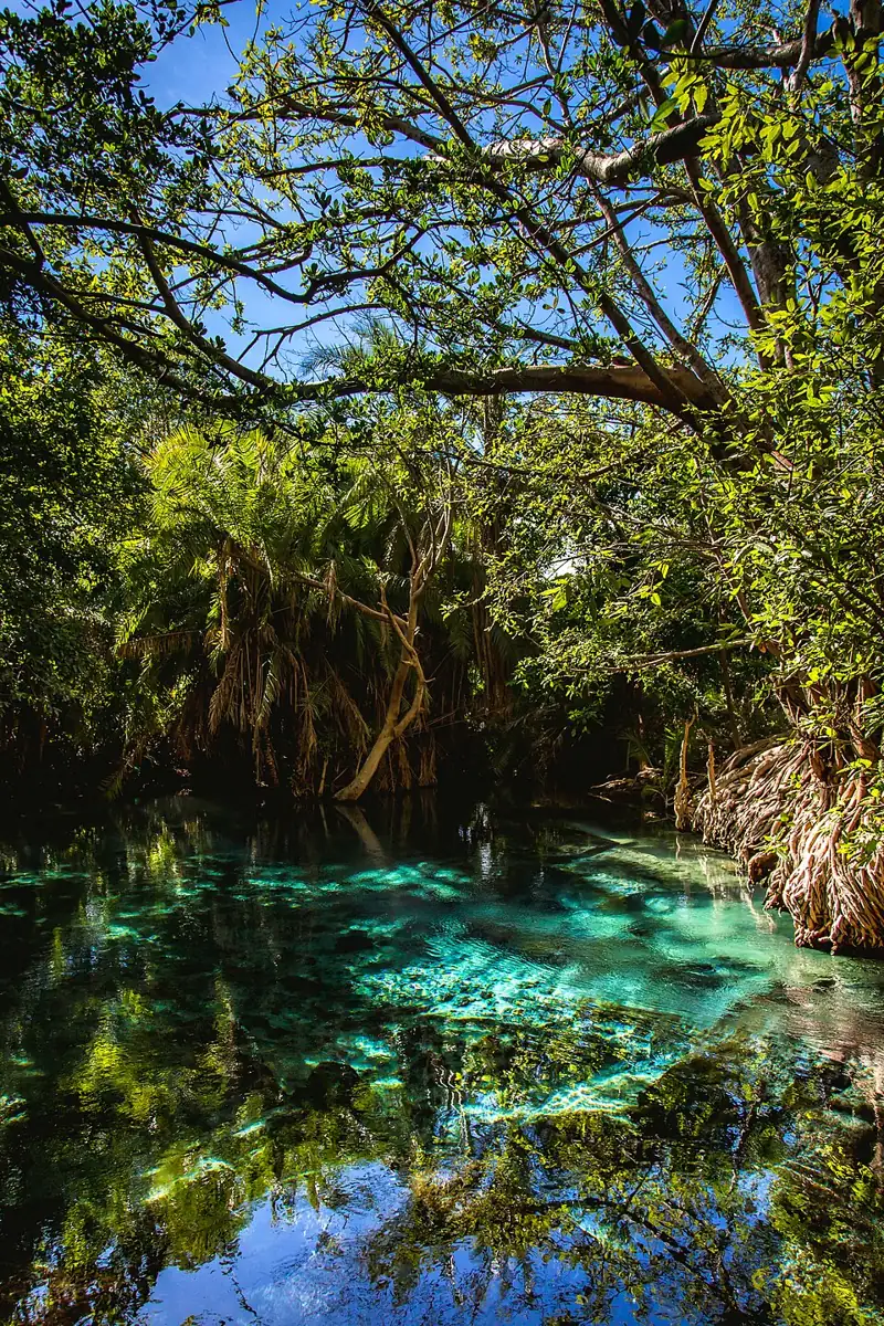 Kikuletwa Hot Spring