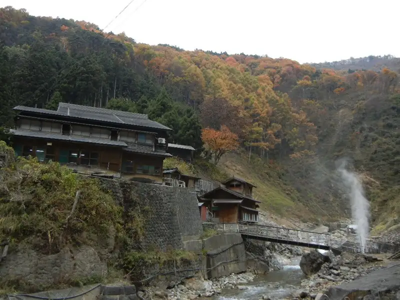 Jigokudani Monkey Park Hot Spring Pool
