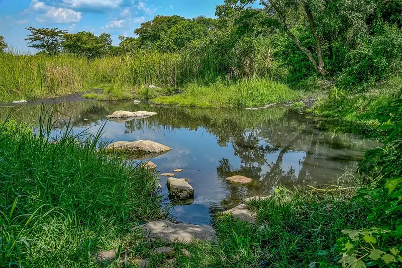 Amuru Hot Springs