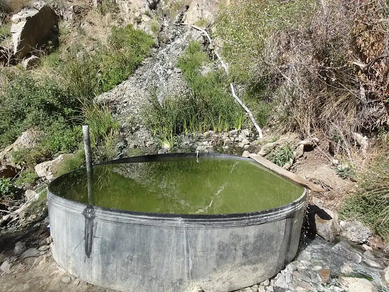 Willett Hot Springs